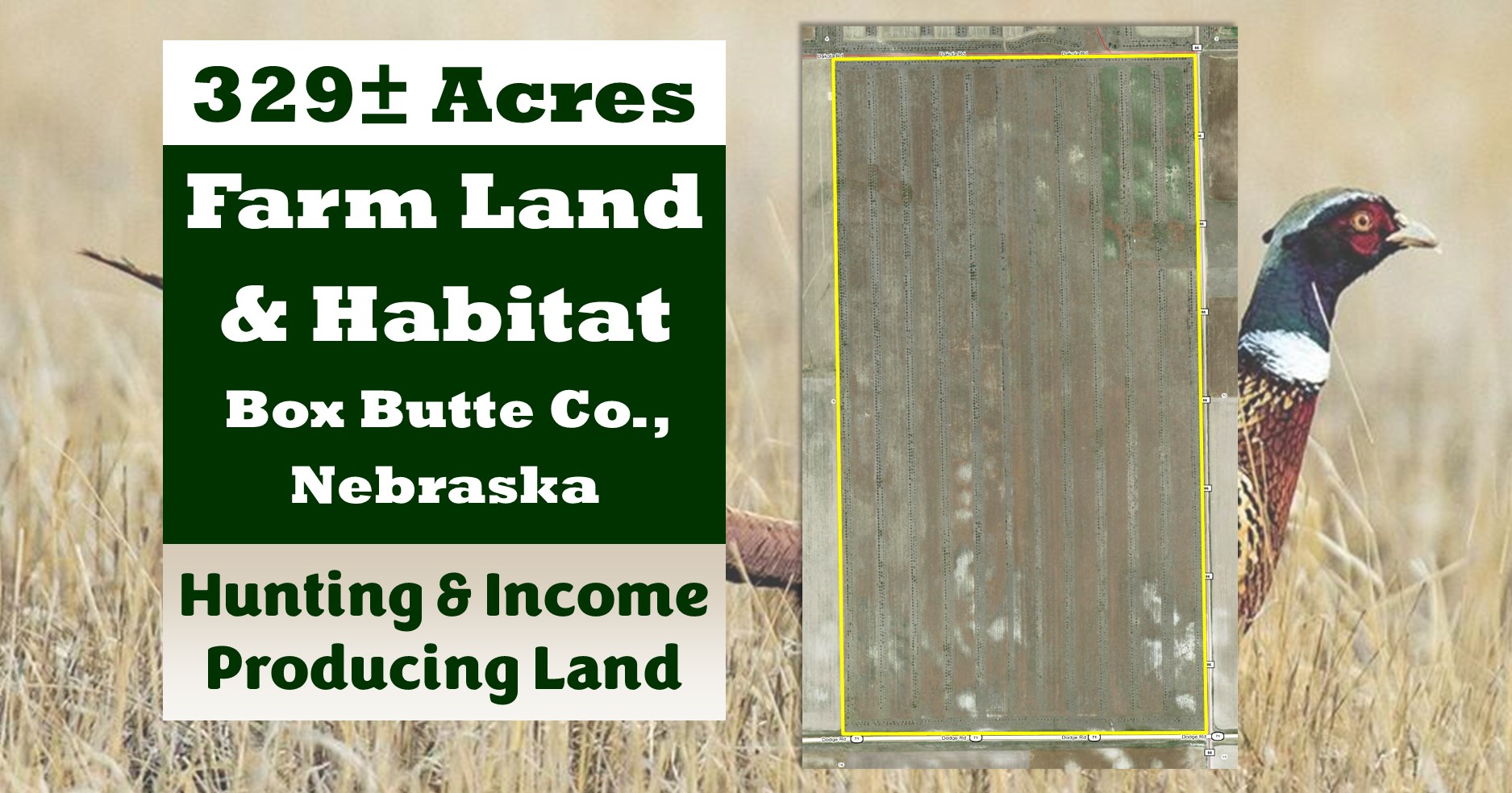 329± Acres Box Butte Co. Farm Land & Habitat • Kraupie's Real Estate ...