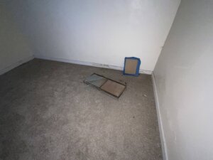 IMG_9169