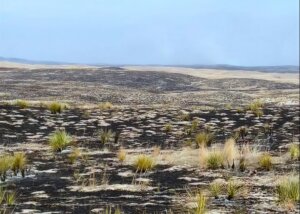 Screenshot_20260313-132600_LE_upscale_prime_light_ai_30